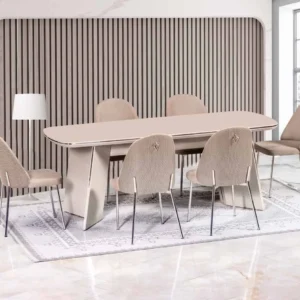 Elegant Contemporary Dining Set